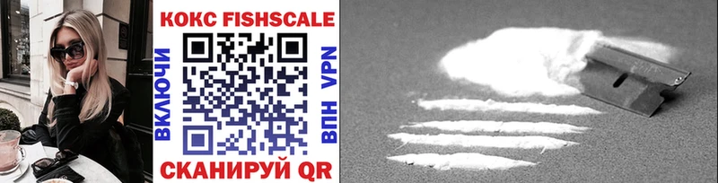 закладки  Вилючинск  COCAIN FishScale 