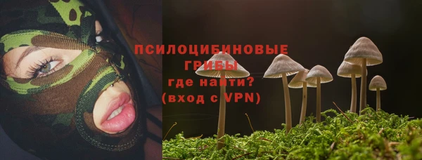 2c-b Балабаново