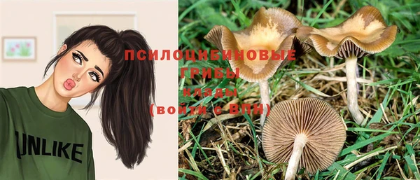 мяу мяу мука Нефтекумск
