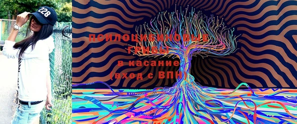 2c-b Балабаново