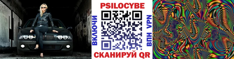 дарнет шоп  Вилючинск  Галлюциногенные грибы прущие грибы 